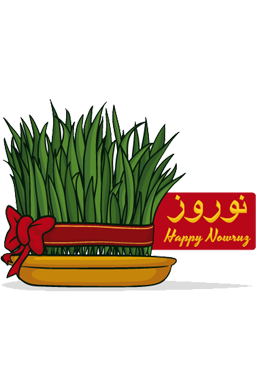 کادوپیچی  