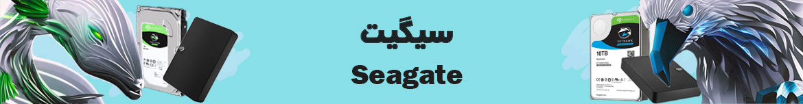 سیگیت